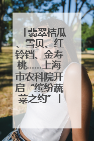翡翠桔瓜、雪贝、红铃铛、金寿桃……上海市农科院开启“缤纷蔬菜之约”