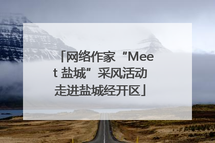 网络作家“Meet 盐城”采风活动走进盐城经开区
