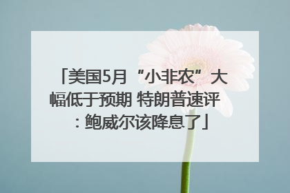 美国5月“小非农”大幅低于预期 特朗普速评：鲍威尔该降息了