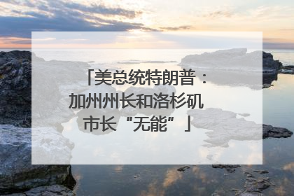 美总统特朗普：加州州长和洛杉矶市长“无能”