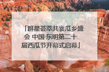 群星荟萃共襄瓜乡盛会 中国·东明第二十届西瓜节开幕式启幕
