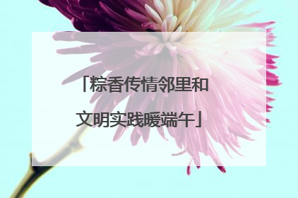 粽香传情邻里和 文明实践暖端午
