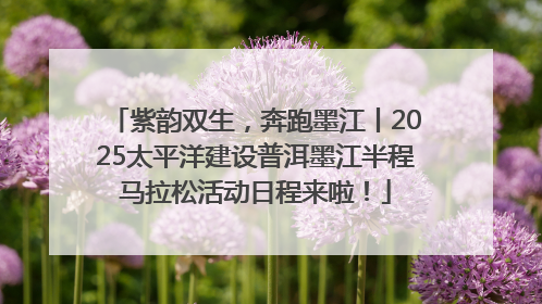 紫韵双生，奔跑墨江丨2025太平洋建设普洱墨江半程马拉松活动日程来啦！