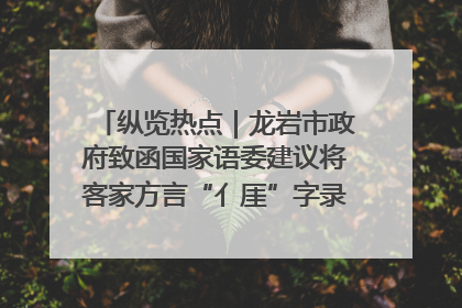 纵览热点｜龙岩市政府致函国家语委建议将客家方言“亻厓”字录入《新华字典》引发热议，当地回应