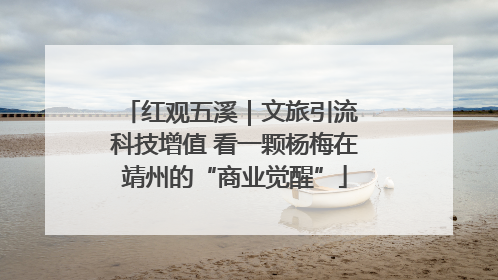 红观五溪｜文旅引流 科技增值 看一颗杨梅在靖州的“商业觉醒”