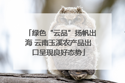 绿色“云品”扬帆出海 云南玉溪农产品出口呈现良好态势