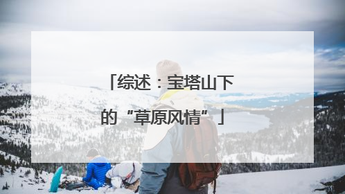 综述：宝塔山下的“草原风情”