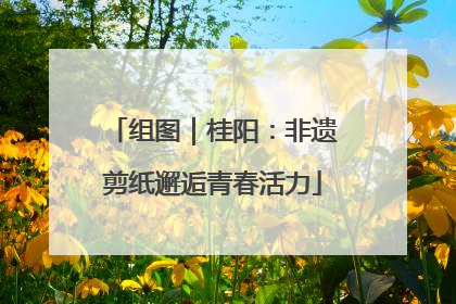 组图｜桂阳：非遗剪纸邂逅青春活力