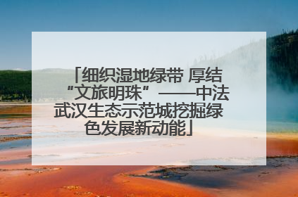 细织湿地绿带 厚结“文旅明珠”——中法武汉生态示范城挖掘绿色发展新动能