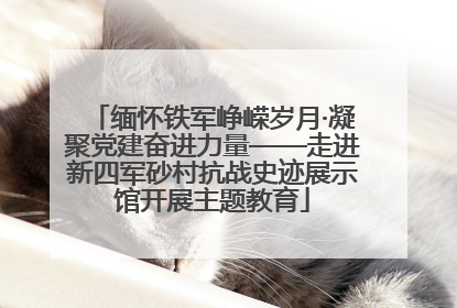 缅怀铁军峥嵘岁月·凝聚党建奋进力量——走进新四军砂村抗战史迹展示馆开展主题教育