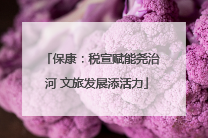 保康：税宣赋能尧治河 文旅发展添活力