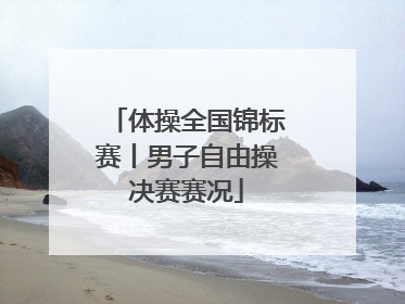 体操全国锦标赛丨男子自由操决赛赛况