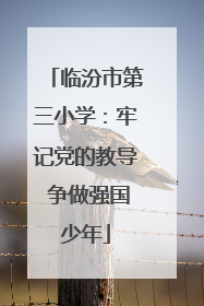 临汾市第三小学：牢记党的教导 争做强国少年