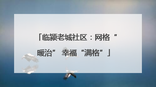 临颍老城社区：网格“暖治” 幸福“满格”