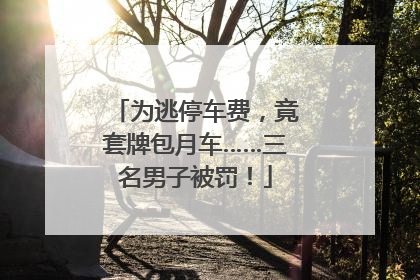为逃停车费，竟套牌包月车……三名男子被罚！