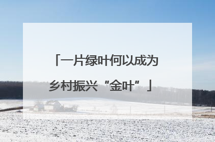 一片绿叶何以成为乡村振兴“金叶”