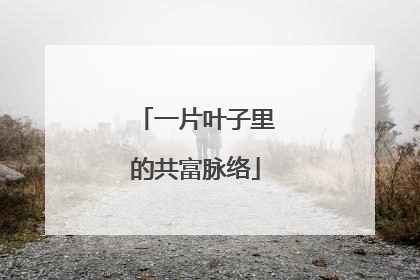 一片叶子里的共富脉络