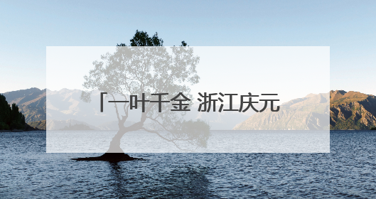 一叶千金 浙江庆元新的社会阶层人士破解荒野茶致富密码