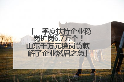 一季度扶持企业稳岗扩岗6.7万个！山东千万元稳岗贷款解了企业燃眉之急