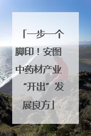 一步一个脚印！安图中药材产业“开出”发展良方