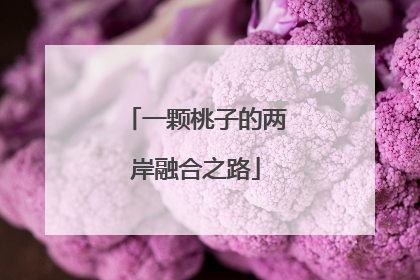 一颗桃子的两岸融合之路