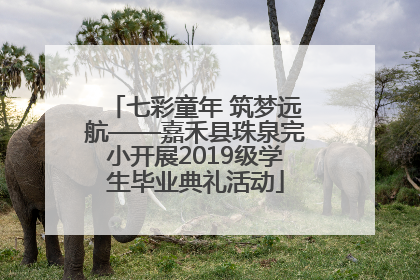 七彩童年 筑梦远航——嘉禾县珠泉完小开展2019级学生毕业典礼活动