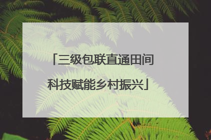 三级包联直通田间 科技赋能乡村振兴
