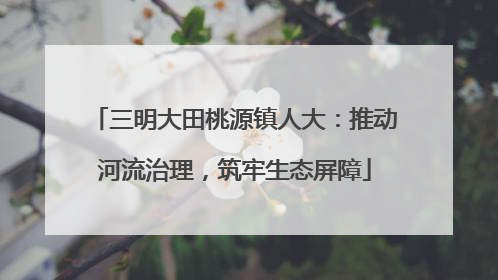 三明大田桃源镇人大：推动河流治理，筑牢生态屏障