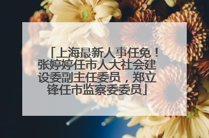 上海最新人事任免！张婷婷任市人大社会建设委副主任委员，郑立锋任市监察委委员