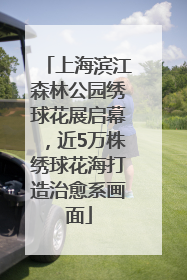 上海滨江森林公园绣球花展启幕，近5万株绣球花海打造治愈系画面