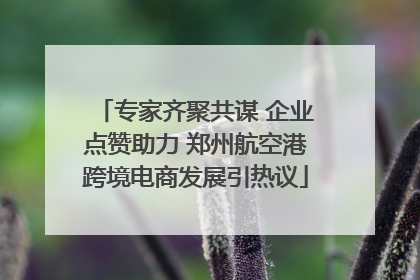 专家齐聚共谋 企业点赞助力 郑州航空港跨境电商发展引热议