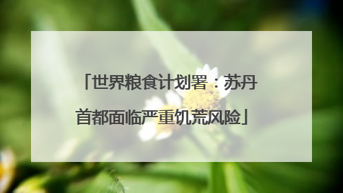 世界粮食计划署：苏丹首都面临严重饥荒风险