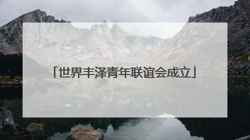 世界丰泽青年联谊会成立