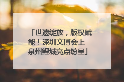 世遗绽放，版权赋能！深圳文博会上 泉州鲤城亮点纷呈