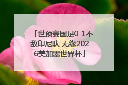 世预赛国足0-1不敌印尼队 无缘2026美加墨世界杯