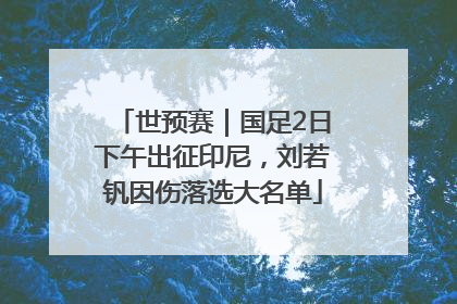 世预赛｜国足2日下午出征印尼，刘若钒因伤落选大名单