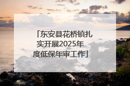 东安县花桥镇扎实开展2025年度低保年审工作