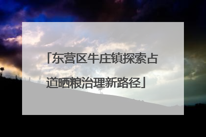 东营区牛庄镇探索占道晒粮治理新路径