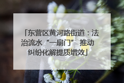 东营区黄河路街道：法治流水“一扇门” 推动纠纷化解提质增效