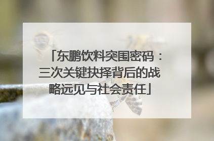 东鹏饮料突围密码：三次关键抉择背后的战略远见与社会责任