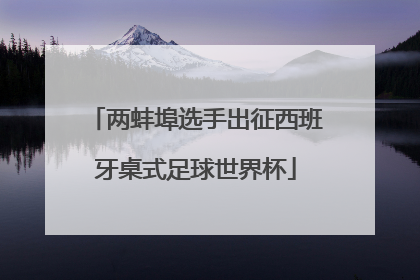 两蚌埠选手出征西班牙桌式足球世界杯