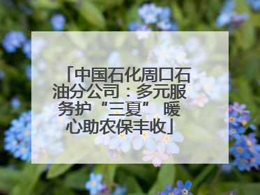 中国石化周口石油分公司：多元服务护“三夏” 暖心助农保丰收