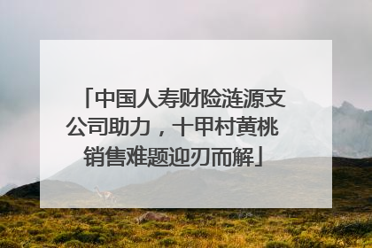 中国人寿财险涟源支公司助力，十甲村黄桃销售难题迎刃而解