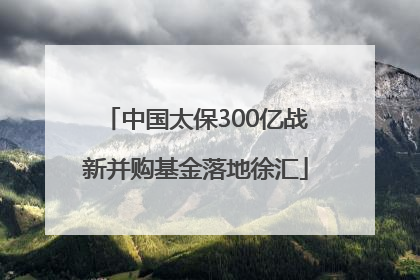 中国太保300亿战新并购基金落地徐汇