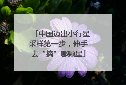 中国迈出小行星采样第一步，伸手去“摘”哪颗星