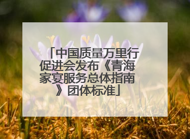 中国质量万里行促进会发布《青海家宴服务总体指南》团体标准