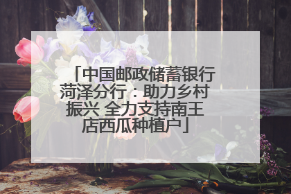中国邮政储蓄银行菏泽分行：助力乡村振兴 全力支持南王店西瓜种植户