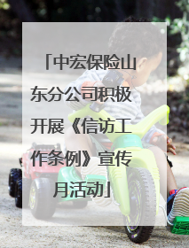 中宏保险山东分公司积极开展《信访工作条例》宣传月活动