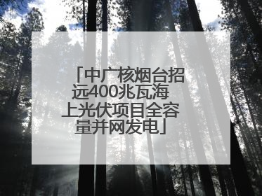 中广核烟台招远400兆瓦海上光伏项目全容量并网发电