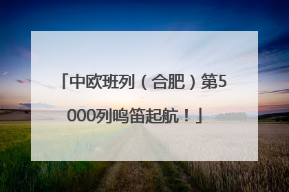 中欧班列（合肥）第5000列鸣笛起航！
